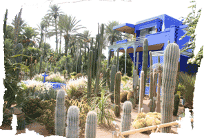 Jardins de Majorelle